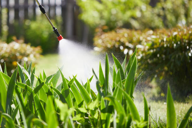 24/7 Emergency Wasp Removal experts in West Liberty, OH
