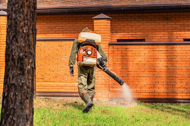 Top rated local Wasp Removal specialists in West Liberty, OH